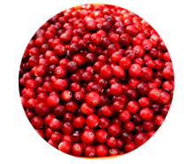 Cranberry-Früchte sind in Prostamin-Kapseln enthalten, lindern Schwellungen