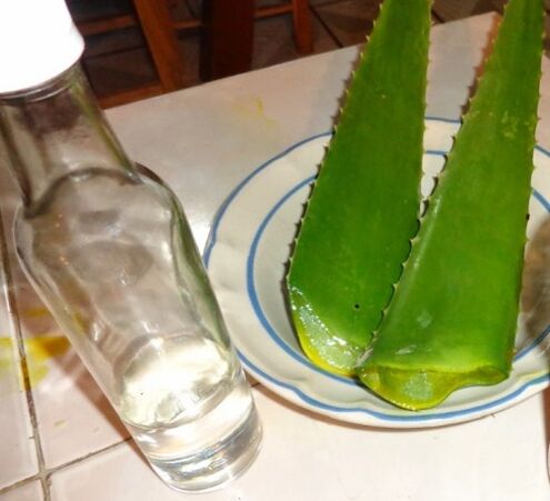 Zubereitung eines Alkoholaufgusses aus Aloe-Blättern zur Behandlung von Prostatitis und Prostataadenom. 